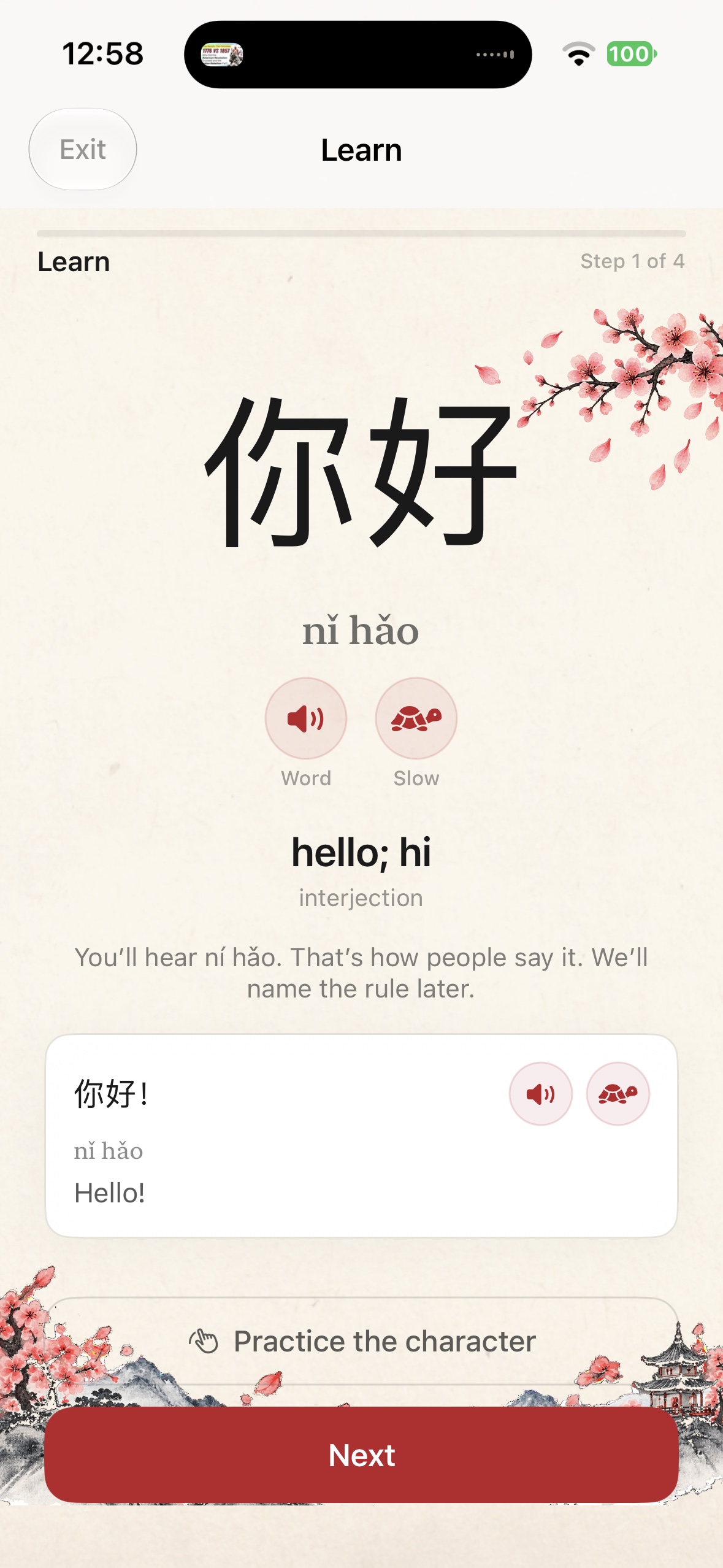 Chinese 101 lesson screen showing 你好 with pinyin, audio, and an example sentence